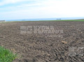 Продава ЗЕМЕДЕЛСКА ЗЕМЯ, с. Българево, област Добрич, снимка 7