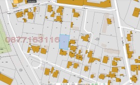 ����� ������� ������,���� �����, ������ �