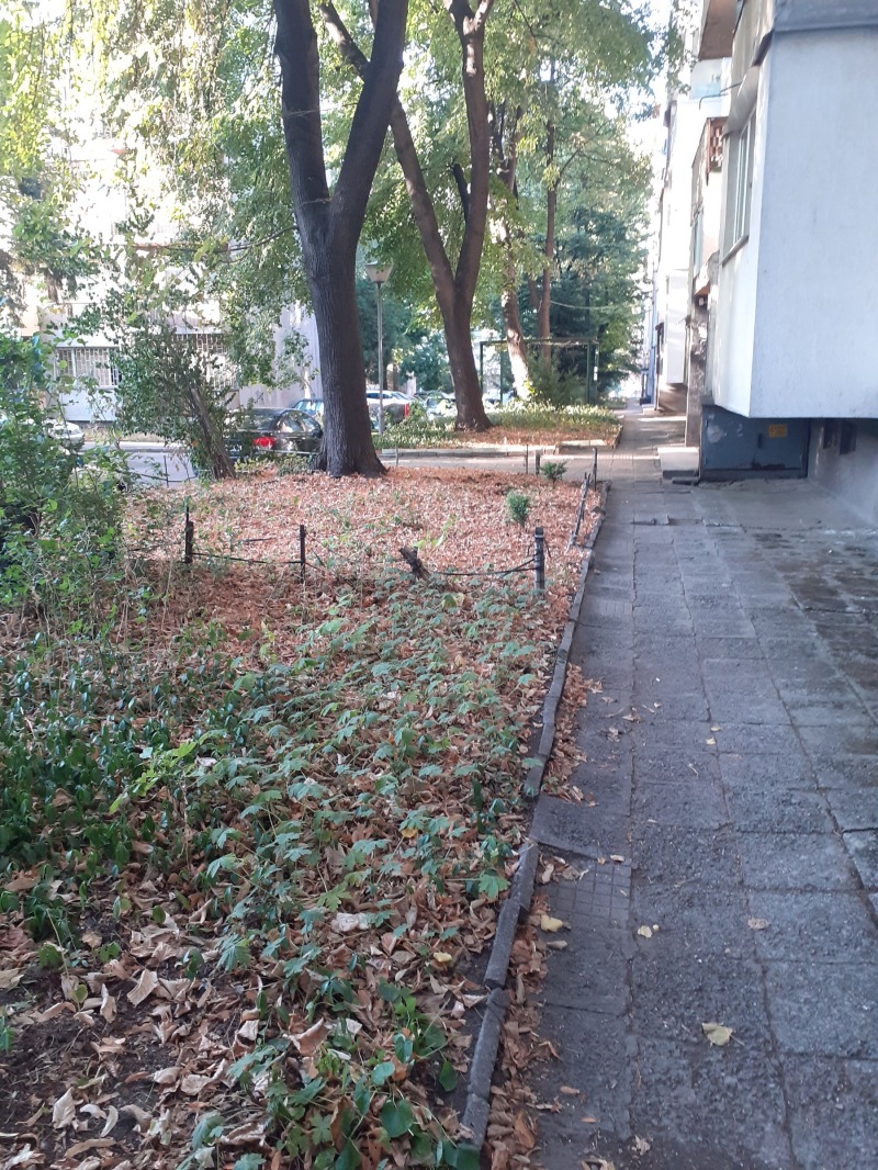 Продава  3-стаен град София , Бъкстон , 76 кв.м | 83338541 - изображение [17]