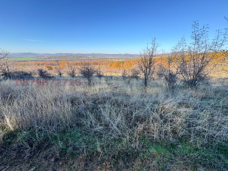 Продава ЗЕМЕДЕЛСКА ЗЕМЯ, с. Ракитница, област Стара Загора