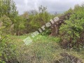 Продава КЪЩА, област Велико Търново, с. Родина • 6300 € / 12321.73 лв. • 29567303 3
