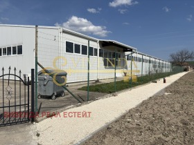 ������ ������� ������ ����