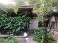 Продава КЪЩА, гр. Главиница, област Силистра, снимка 4