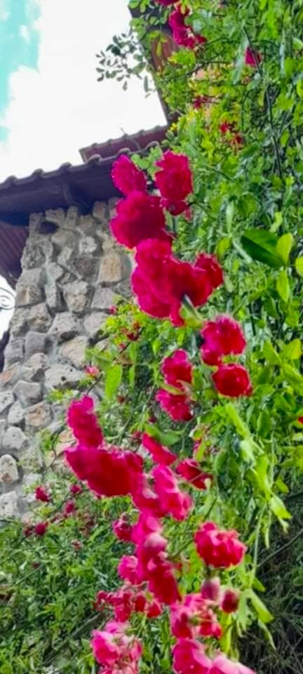 ������� ���� | Imot.bg � ����������� 10