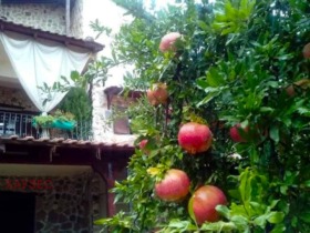 ������� ���� | Imot.bg � ����� ������ 11