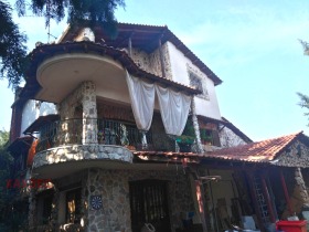 ������ ������� ����