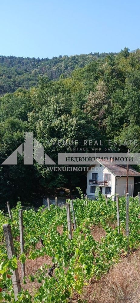 Продава КЪЩА, гр. Кричим, област Пловдив, снимка 4 - Къщи - 55737883