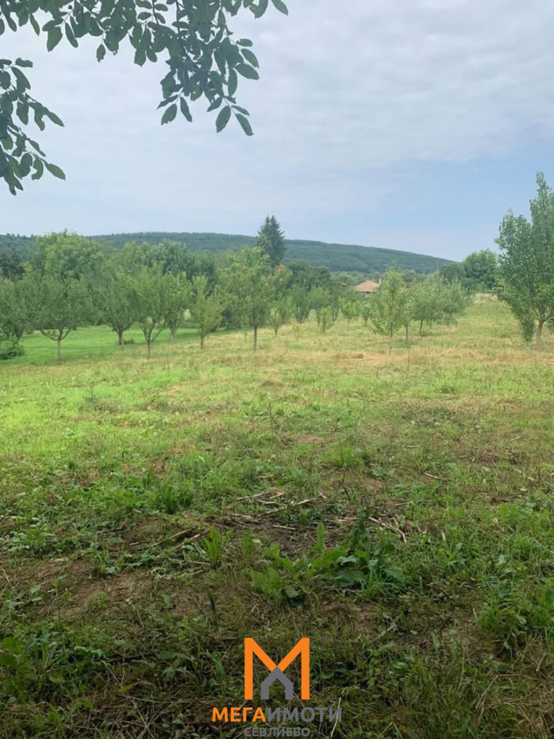 Продава ПАРЦЕЛ, с. Петко Славейков, област Габрово, снимка 2 - Парцели - 54081379