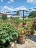 Продава КЪЩА, област Варна, с. Слънчево • 89000 € • 45321901 — Holmes.bg