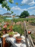 Продава КЪЩА, област Варна, с. Слънчево • 89000 € • 45321901 — Holmes.bg