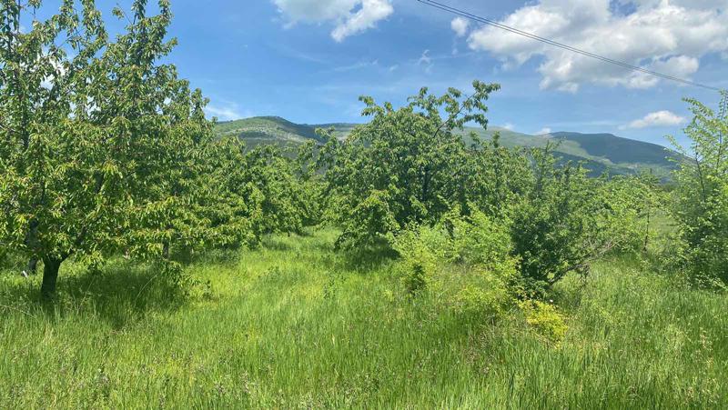 ������� ���������� ���� | Imot.bg � ����������� 4