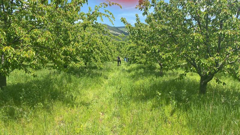 ������� ���������� ���� | Imot.bg � ����������� 1