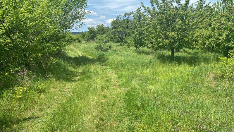 ������� ���������� ���� | Imot.bg � ����������� 5