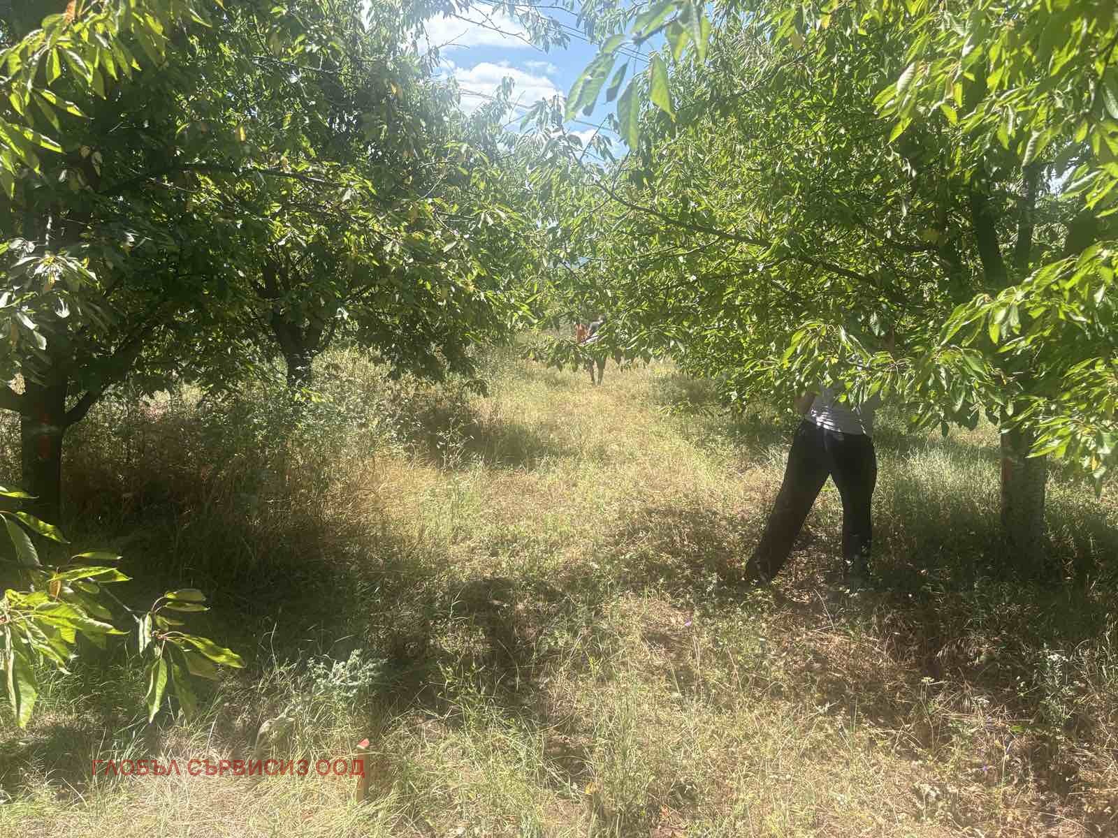 ������� ���������� ���� | Imot.bg � ����������� 12