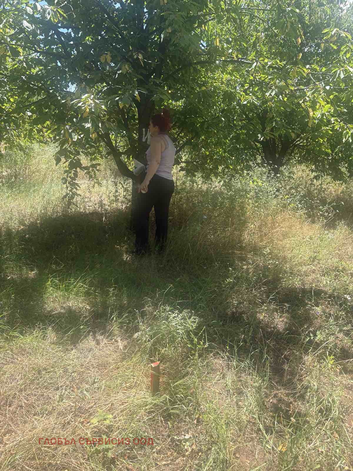 ������� ���������� ���� | Imot.bg � ����������� 13