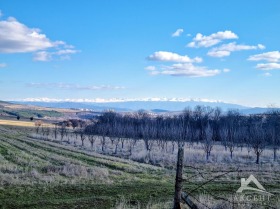 ������� ������ | Imot.bg � ����� ������ 14