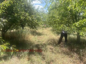 ������� ���������� ���� | Imot.bg � ����� ������ 12