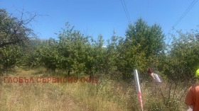 ������� ���������� ���� | Imot.bg � ����� ������ 14