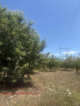 ������� ���������� ���� | Imot.bg � ����� ������ 9