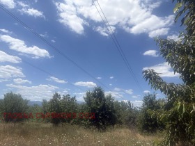 ������� ���������� ���� | Imot.bg � ����� ������ 11