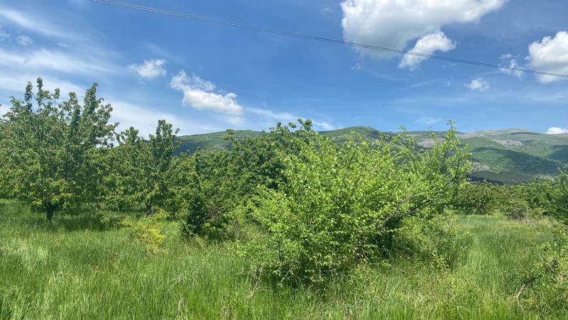 Te koop  Land regio Kjoestendil , Gorna Grashtitsa , 1 dka | 25593366 - afbeelding [2]