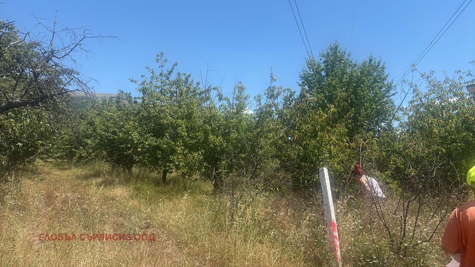 Продава ЗЕМЕДЕЛСКА ЗЕМЯ, с. Горна Гращица, област Кюстендил, снимка 14 - Земеделска земя - 54706084