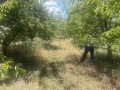 Продава ЗЕМЕДЕЛСКА ЗЕМЯ, с. Горна Гращица, област Кюстендил, снимка 12
