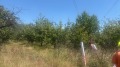 Продава  Земеделска земя област Кюстендил , с. Горна Гращица , 1 дка | 16869596 - изображение [14]