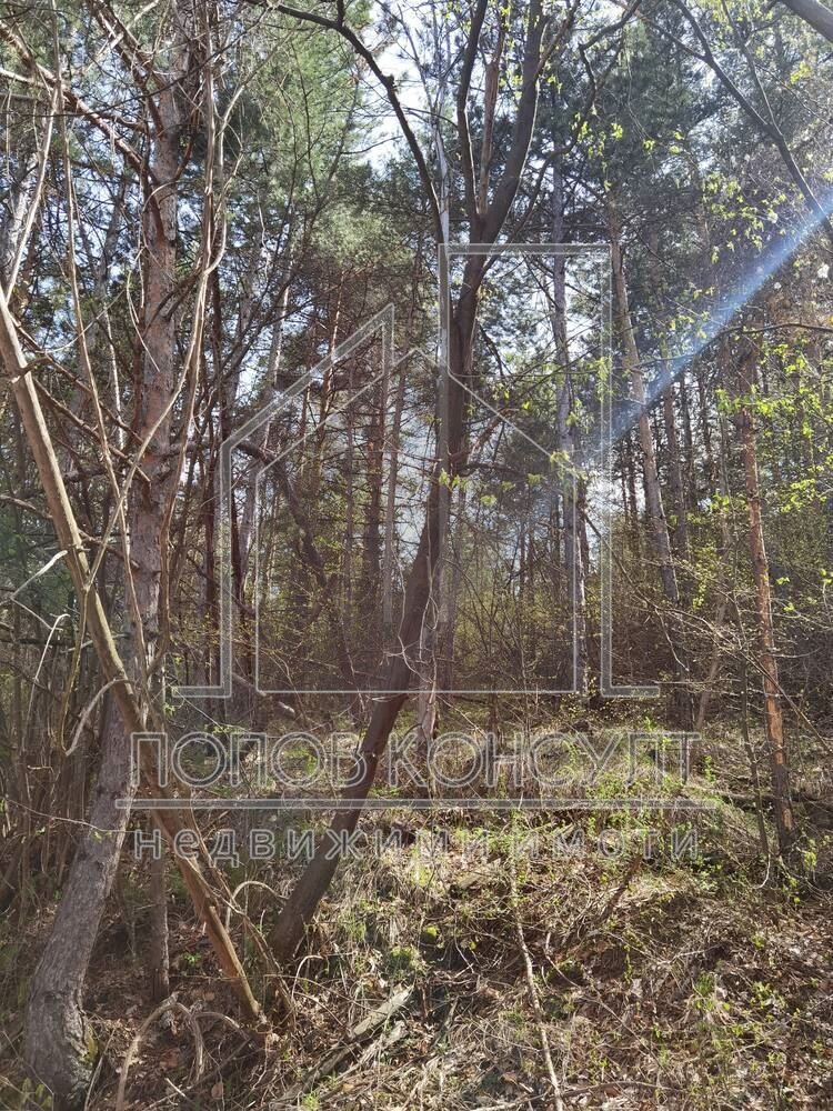 Продава ПАРЦЕЛ | Imot.bg — изображение 3