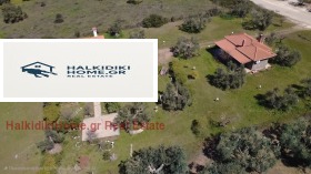 ����� ������� ����,���������, ������