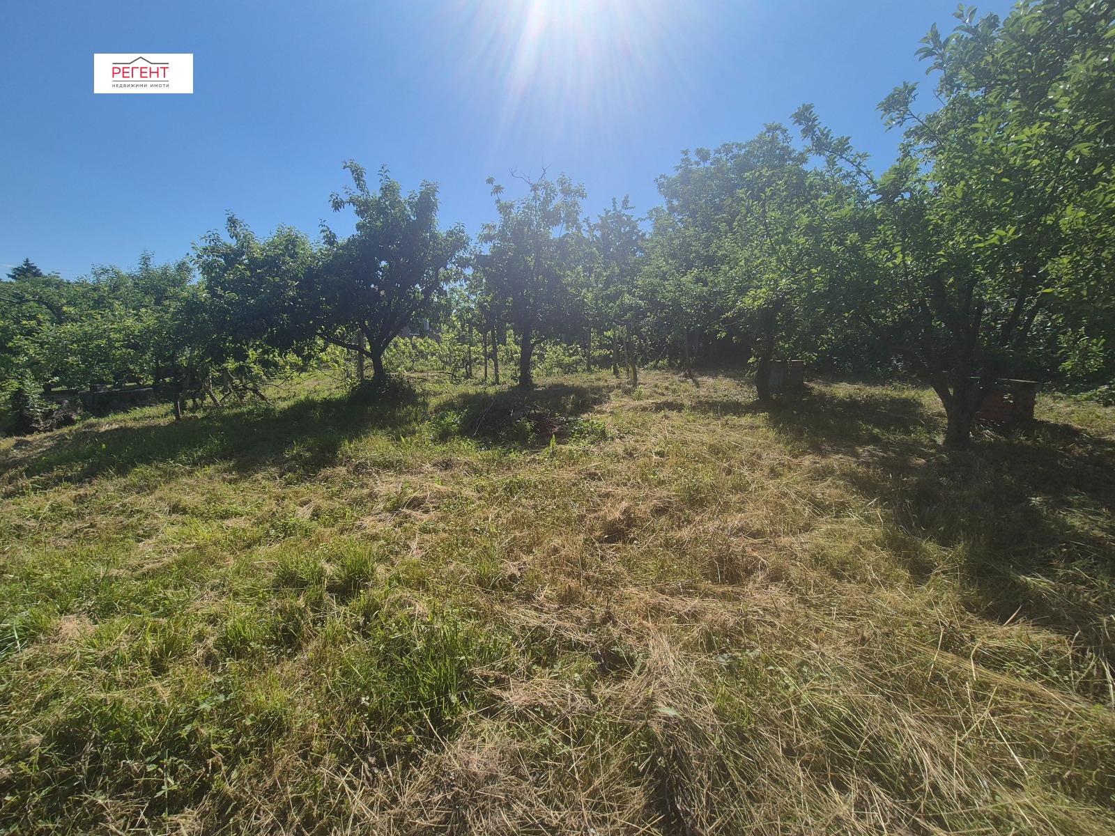 Продава КЪЩА, с. Буря, област Габрово, снимка 16 - Къщи - 54831527