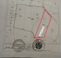 Продава ЗЕМЕДЕЛСКА ЗЕМЯ, гр. Обзор, област Бургас, снимка 6