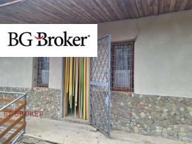 ������ ������� ����