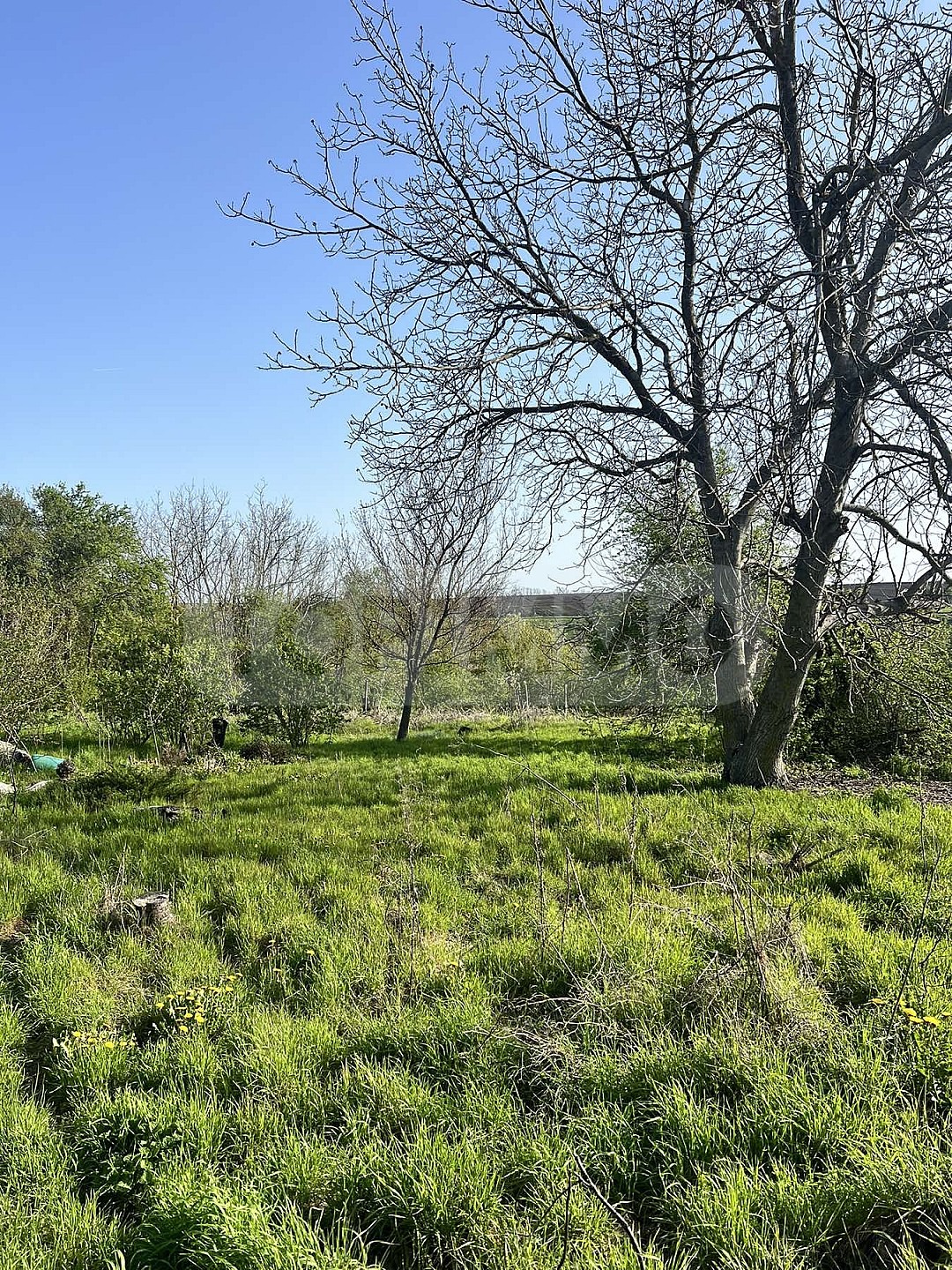 Продава КЪЩА, с. Миладиновци, област Добрич, снимка 14 - Къщи - 53606691