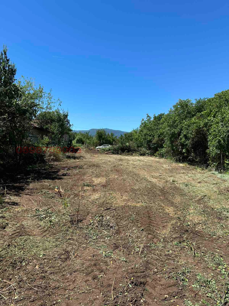 Продава ПАРЦЕЛ, с. Капитан Димитриево, област Пазарджик, снимка 2 - Парцели - 53519831