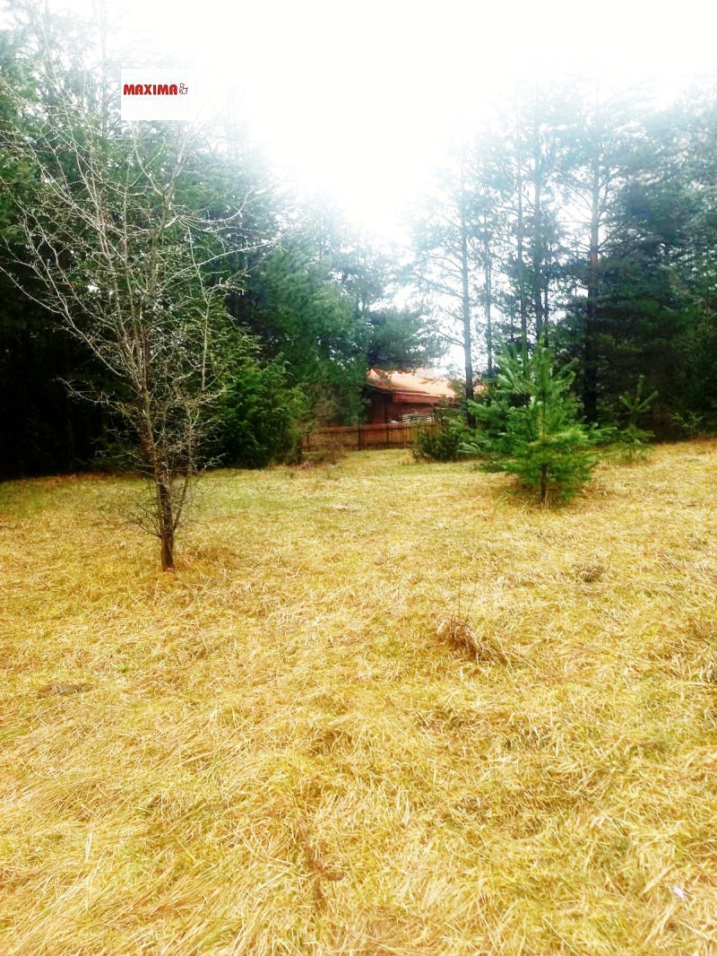 En venta  Trama región Blagoevgrad , Razlog , 685 metros cuadrados | 99922549 - imagen [5]