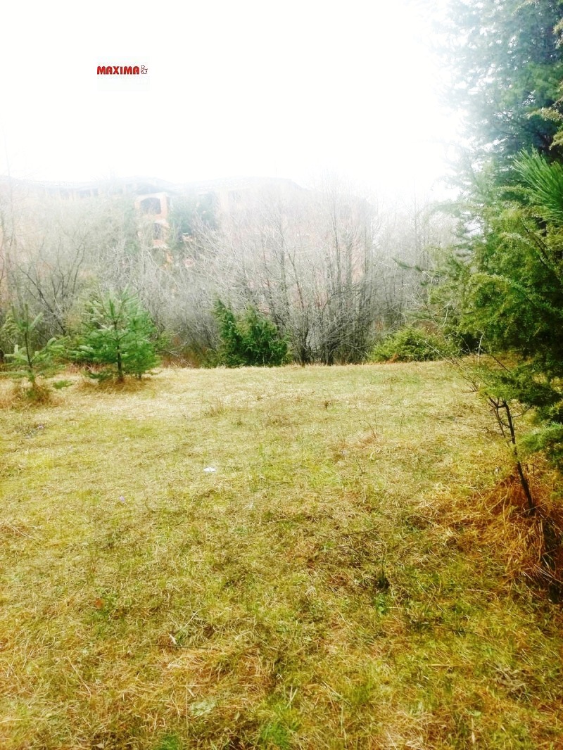 En venta  Trama región Blagoevgrad , Razlog , 685 metros cuadrados | 99922549 - imagen [6]
