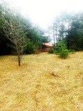 Продава ПАРЦЕЛ, област Благоевград, гр. Разлог • 78000 € • 12270544 — Holmes.bg