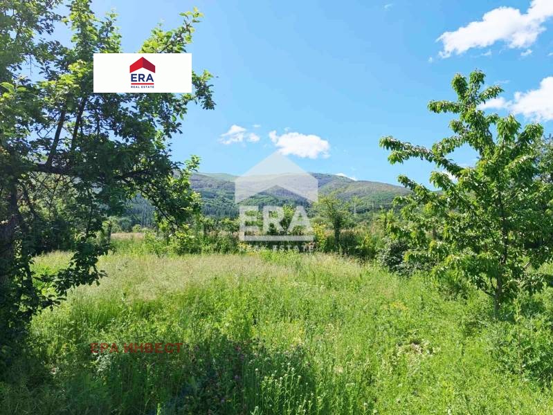 Продава КЪЩА, с. Гюешево, област Кюстендил, снимка 14 - Къщи - 55083797