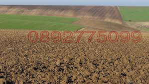 Продава ЗЕМЕДЕЛСКА ЗЕМЯ, с. Юпер, област Разград