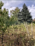 Продава КЪЩА, град Варна, м-т Манастирски рид • 129000 € • 74806579 — Holmes.bg