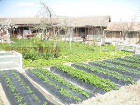 ������� ���� | Imot.bg � ����� ������ 3