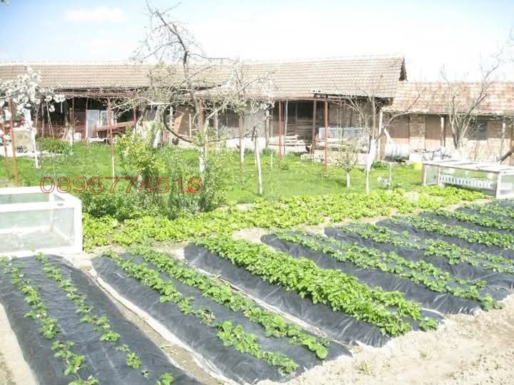 Продава КЪЩА, с. Салманово, област Шумен, снимка 3 - Къщи - 54066036