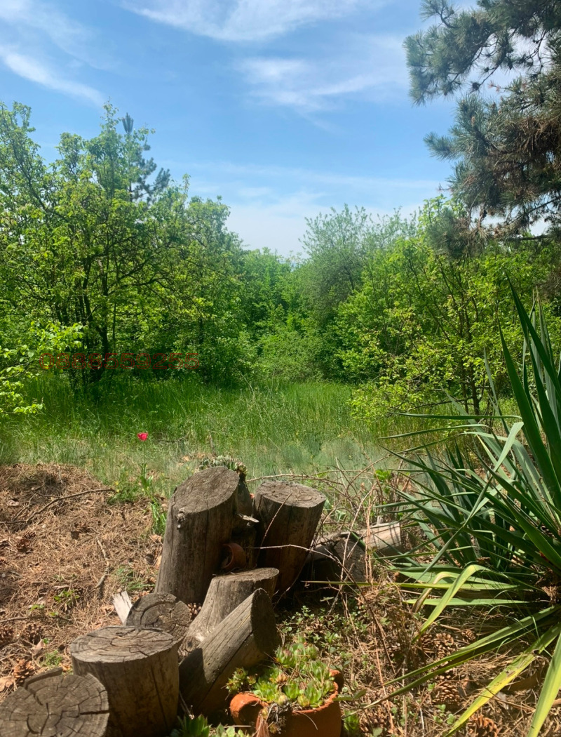 Продава ПАРЦЕЛ, гр. София, с. Подгумер, снимка 7 - Парцели - 52784351