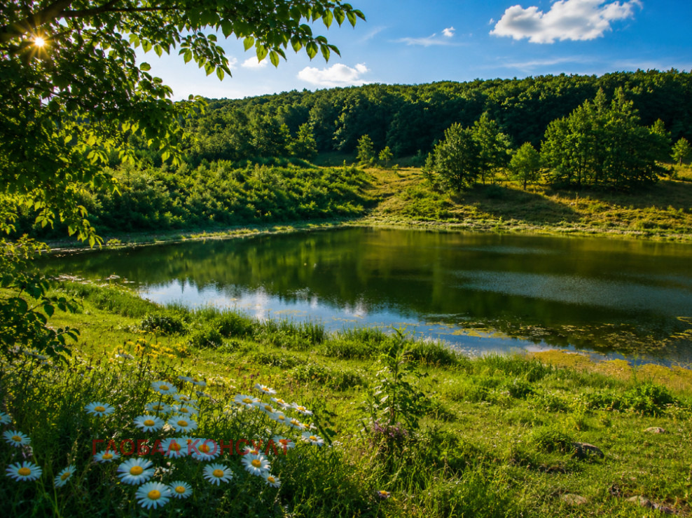 Продава ПАРЦЕЛ, с. Юнец, област Варна, снимка 5 - Парцели - 55805704
