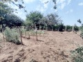 Продава КЪЩА, област Русе, с. Обретеник • 9500 € • 91325199 — Holmes.bg