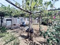 Продава КЪЩА, област Русе, с. Обретеник • 9500 € • 91325199 — Holmes.bg