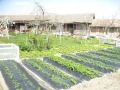 Продава  Къща област Шумен , с. Салманово , 144 кв.м | 54471107 - изображение [3]