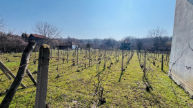 ������� ���� | Imot.bg � ����� ������ 16