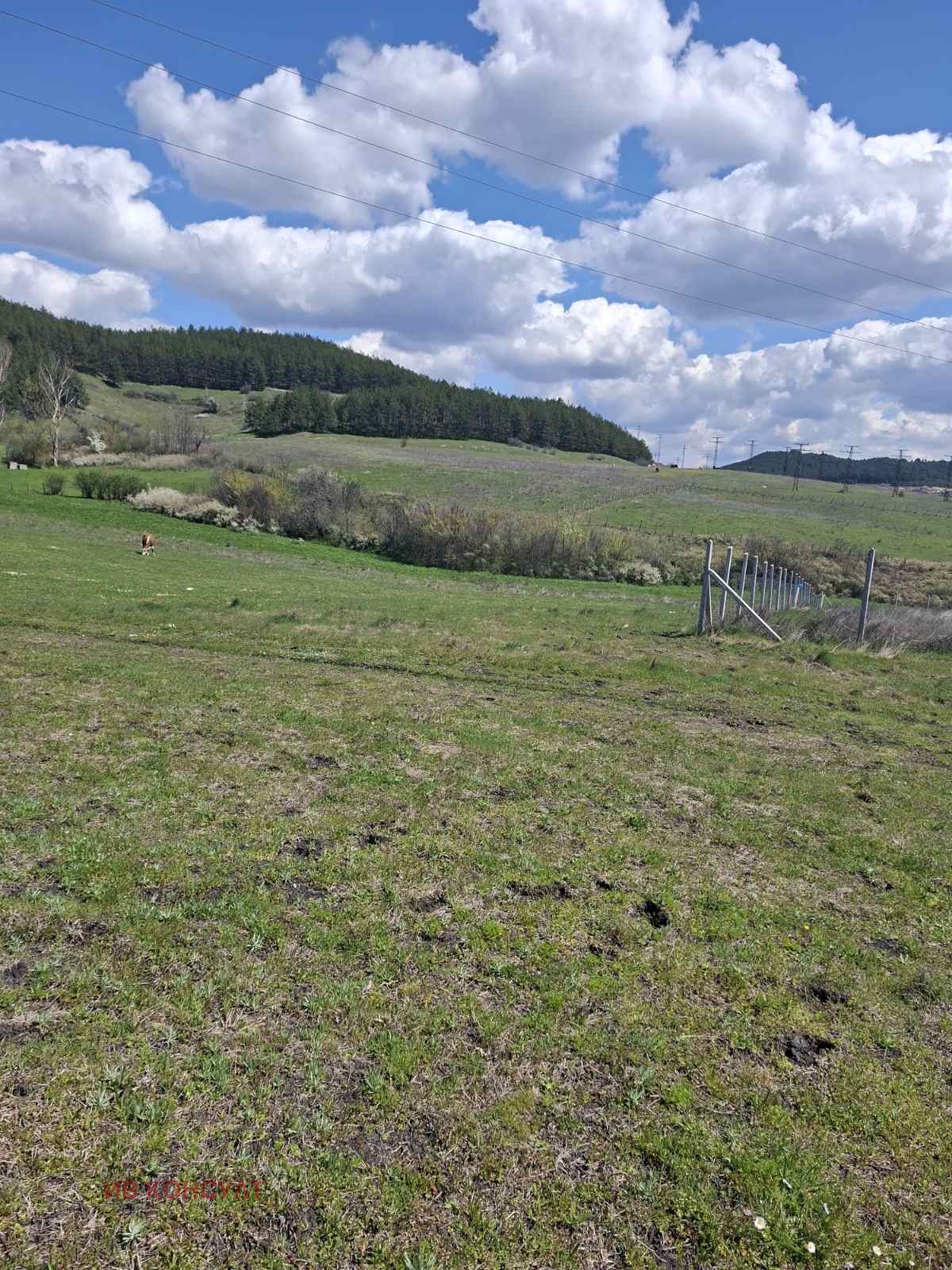 Продава ПАРЦЕЛ, с. Сипей, област Кърджали, снимка 2 - Парцели - 54230349